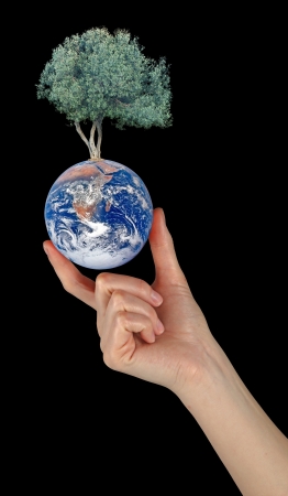 Gift of Earth Elements of this image furnished の写真素材
