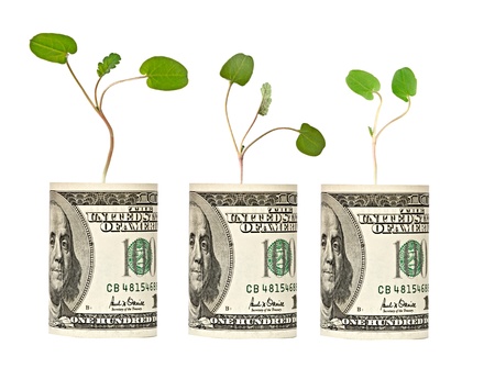  saplings growing from dollar billの写真素材