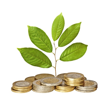 Sapling growing from coinsの写真素材
