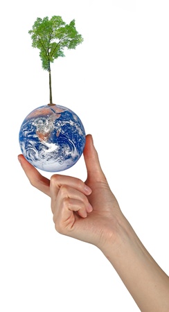 Tree on Earth as a symbol of peace.Elements of this image furnished by NASAの写真素材