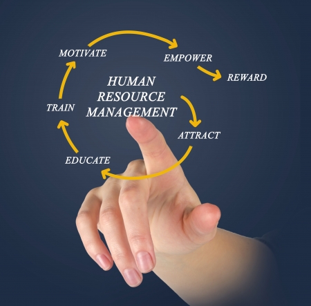 human resource managementの写真素材