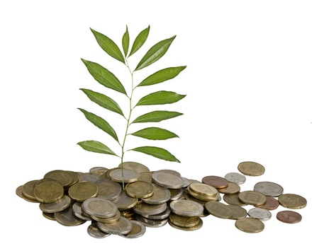 Sapling growing from coinsの写真素材