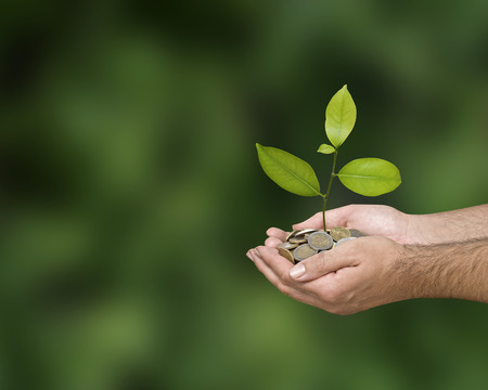Investing to green business
