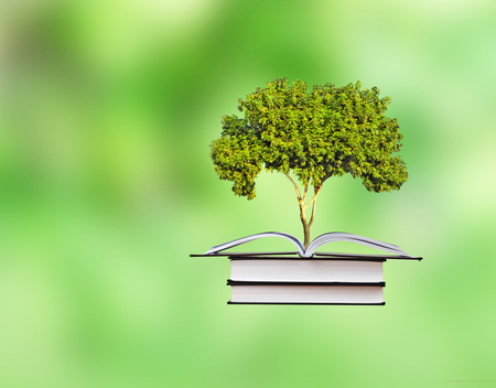 tree growing from open bookの写真素材