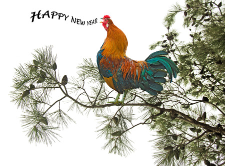 Happy new yearの写真素材