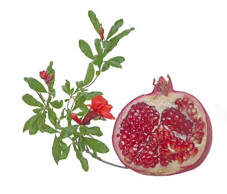 Pomegranate fruit and flower isolated on white backgroundの写真素材