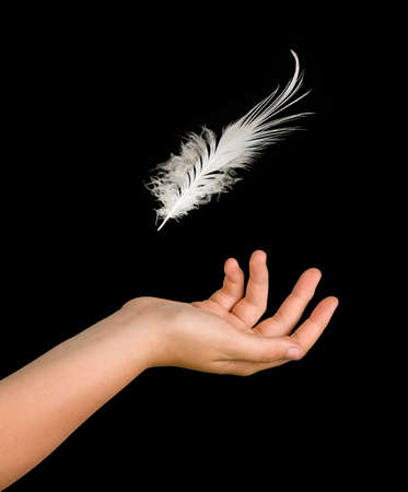 Close up of white feather falling to handの写真素材