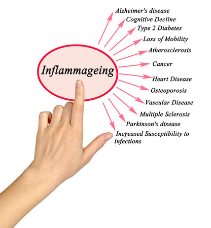 Woman Presenting Consequences of Inflammageingの写真素材