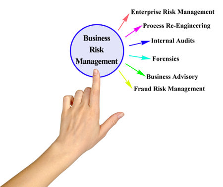 Woman Presenting Business Risk Managementの写真素材