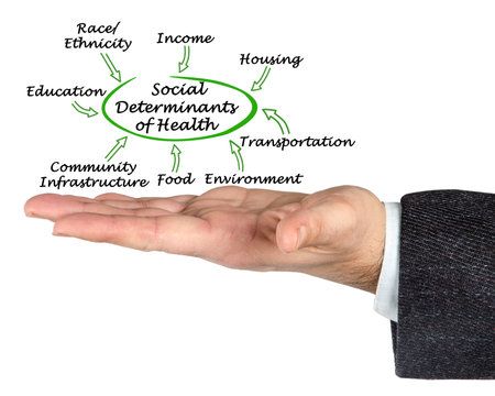 Eight Social Determinants of Healthの写真素材