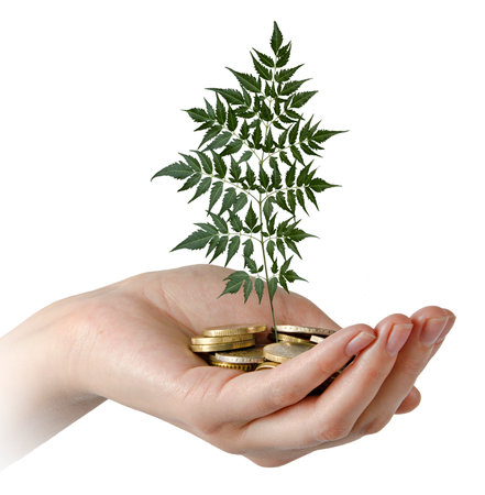woman invesing money in environmentの写真素材