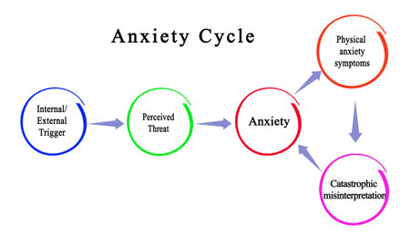Five Components of Anxiety Cycleの写真素材