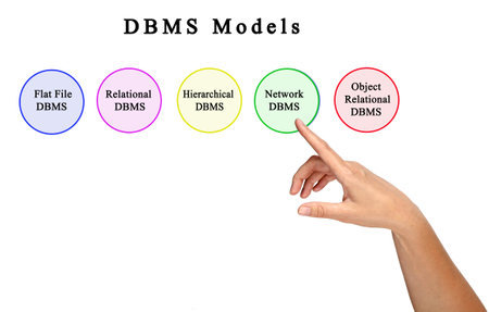 Woman Presenting Four DBMS Modelsの写真素材
