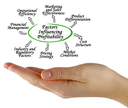 Presenting Eight Factors Influencing Profitabilityの写真素材