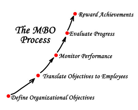 Components of The MBO Processの写真素材