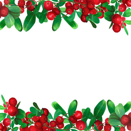 Cranberry border, with vibrant red berries and green leaves forming a decorative frame. This watercolor hand drawn illustration is perfect for botanical-themed designs or seasonal decorations like greeting cards, labels, and invitations.の写真素材