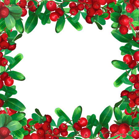 Elegant botanical watercolor hand drawn frame, adorned with vibrant red cranberries and green leaves. Floral design template for wedding invitations, greeting cards, social media banners.の写真素材