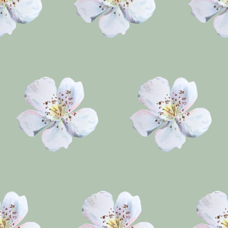 Seamless pattern with white flowers. Hand-drawn illustration on green backgroundの写真素材