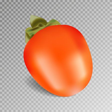 Realistic persimmon fruit. Juicy, fruit dessert. Vector illustration isolated on transparent background.のイラスト素材