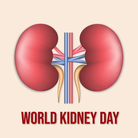 Illustration Of World Kidney Day Poster Or Bannerの写真素材