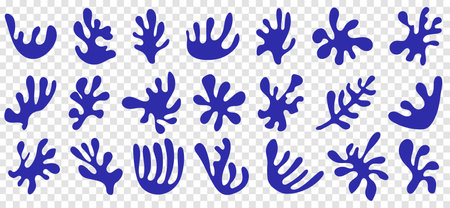 Set of matisse geometric algae. Design can be used for posters, flyers, brocures and others. Vector illustration isolated on transparent backgroundのイラスト素材