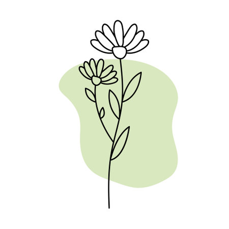 Chamomile line flower icon with abstract shape. vector illustrationのイラスト素材