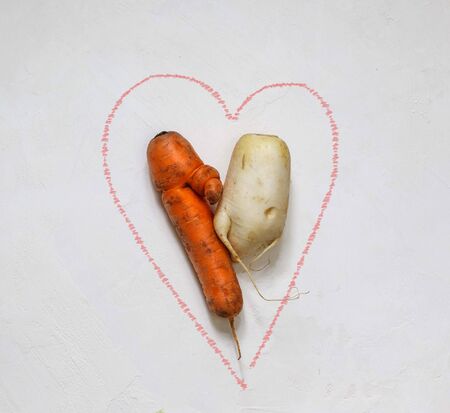 Ugly carrots and daikon radish in the center of a pink heart drawn on a white background . Funny...