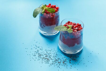 Two healthy desserts in glasses of Chia seeds and cranberry jelly on a blue background, horizontally with spaceの写真素材