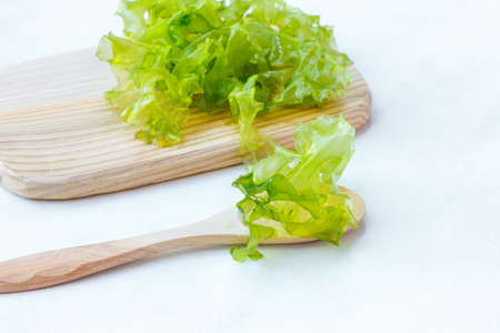 Fresh green algae, Ulva on a wooden Board, light background, horizontalの写真素材