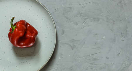 ugly red pepper on a plate, against a rough gray background. Horizontal orientation with space, top