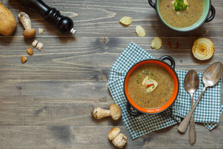 Mushroom soup in a bowl on a check napkin, with baked onion, pepper mill and porcini mushrooms.の写真素材