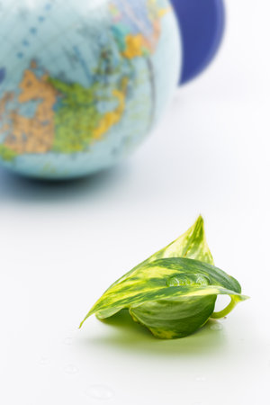 The concept of lack of fresh water on the planet. A drop of water on the leaves of a plant and a globe in the background. Focus on a drop of water.Water conservationの写真素材