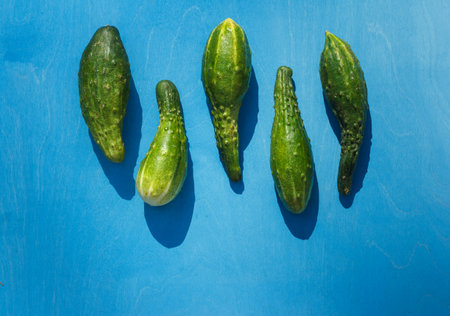 The concept of zero waste. Vegetables grown in the garden may have different shapes, sometimes ugly or funny, but this does not affect their tasteの写真素材