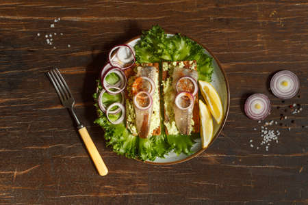 crisp bread with tender sardine fillet and soft cheese pate with herbs. Sardines are rich in fatty acids, have a great nutritional value. Overhead, two fish sandwiches on a dark wooden backgroundの写真素材