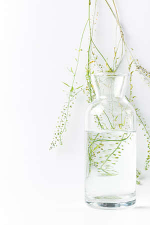 View of dried flowers through glass vases and water vessels. Vertically on a white backgroundの写真素材