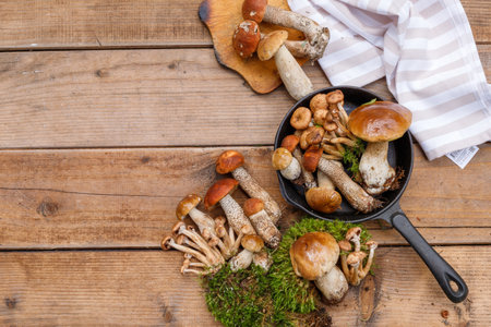 Wild mushrooms in a cast-iron frying pan, on wooden boards. Top view, layout. Copy of the spaceの写真素材