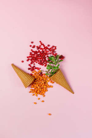 Frozen sea buckthorn berries and cranberries in waffle cones for ice cream. On a pink background, top view, copy spaceの写真素材