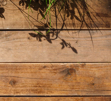 Background with vintage wooden boards with hard grass shadows. Copy of the spaceの写真素材