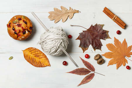 Autumn concept. Bright maple and oak leaves, a ball of yarn for knitting, cranberry berries and cinnamon sticks on a light gray background. Close-up, top viewの写真素材