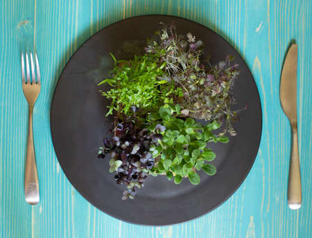 Different varieties of micro-greenery on a round black plate. On a blue wooden background, top viewの写真素材