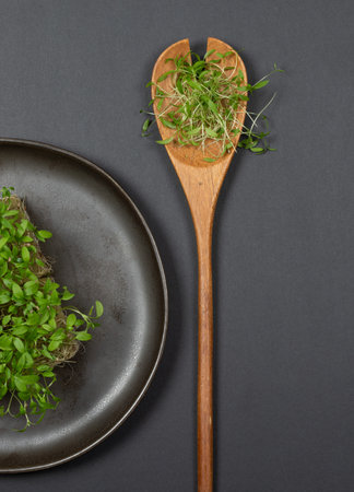 Micro greens on a wooden spoon and on a plate. Close-up, on a black background, top view.