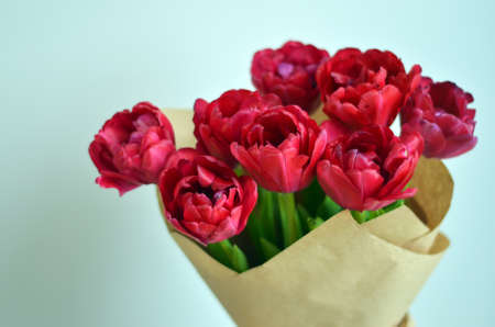 Beautiful bouquet of red tulips wrapped in craft paper. Monochrome backroundの写真素材