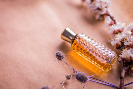 Bottles of perfume with ingredients on paperの写真素材