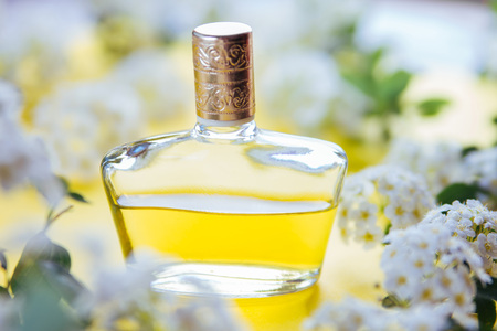 Bottle of perfume with white flowers on yellow backgroundの写真素材