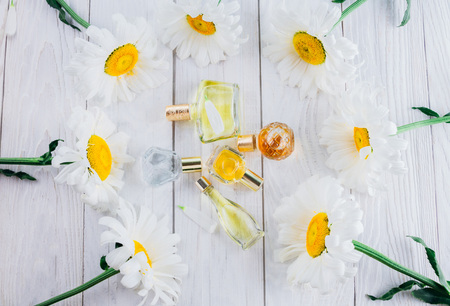 Bottles of perfume with camomile on white backgroundの写真素材