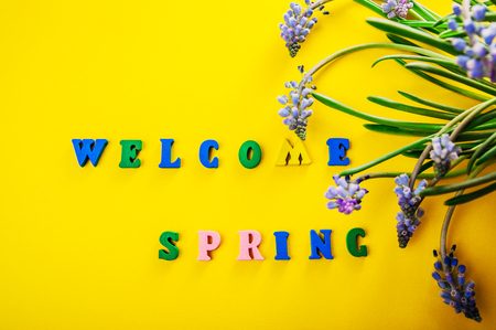 Welcome spring. Yellow background with text and spring flowersの写真素材