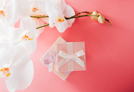 Gift boxes with white orchid on pink backgroundの写真素材