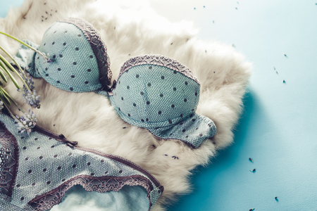 Set of female underwear with spring flowers on fir and blue backgroundの写真素材