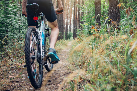 Young bicyclist riding in the forest in the morningの写真素材