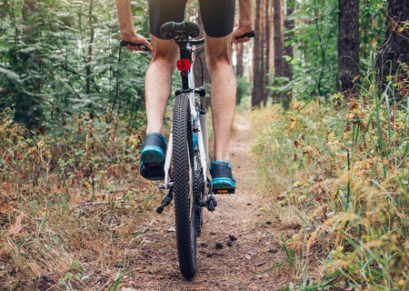 Young bicyclist riding in the forest in the morningの写真素材